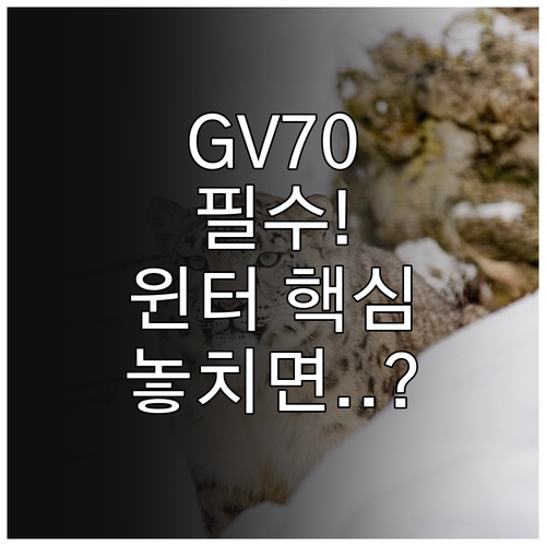 GV70 255/45R20 윈터 타이..