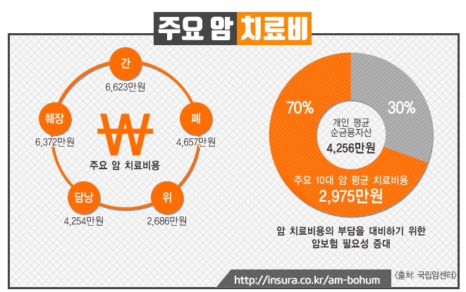 주요 암 치료비 (출처:국립암센터)