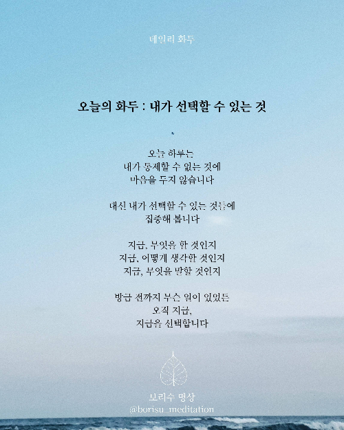 환희지의 보리수 명상 : Day 2 화두 : 나의 선택으로 돌아오기