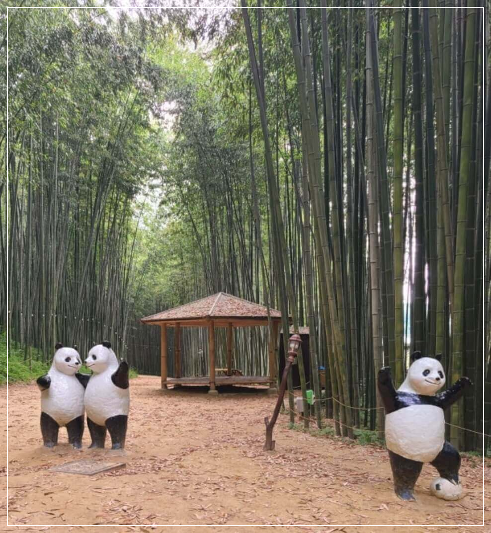 담양 가볼만한곳 베스트10 죽녹원