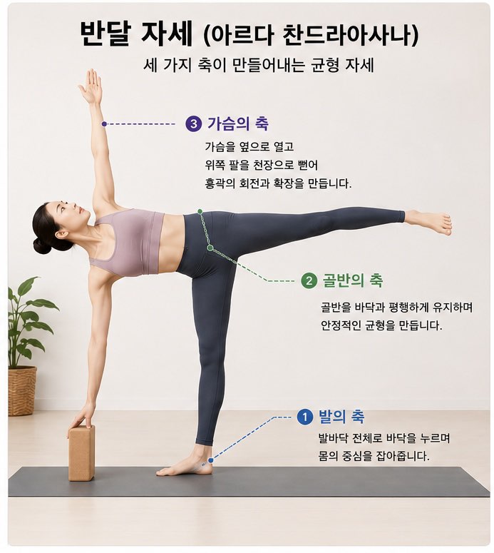 요가 해부학으로 이해하는 반달 자세: 균형은 세 가지 축에서 시작된다