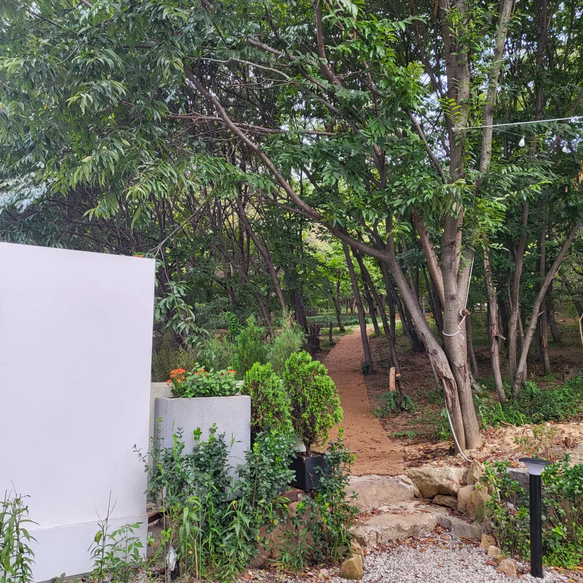 카페-주이-산책로-입구