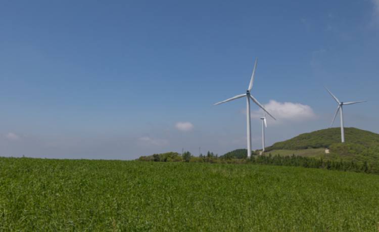 청옥산 육백마지기