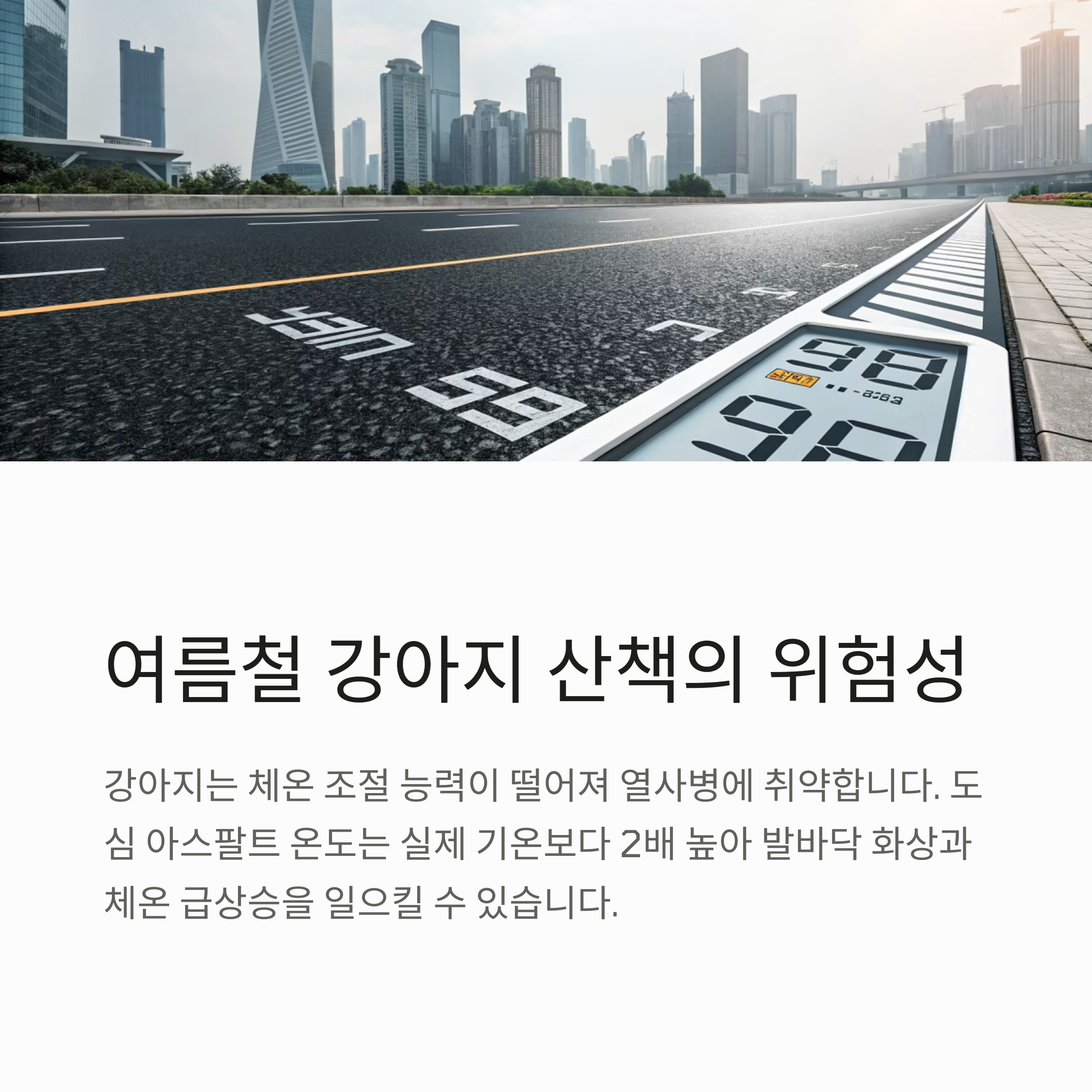 여름철 강아지 산책의 위험성