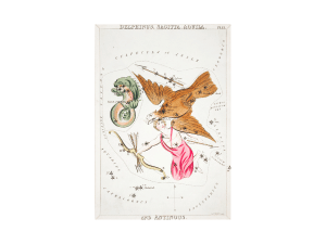 주간 별자리운세, 산수도인, 2023년 7월31일~8월6일