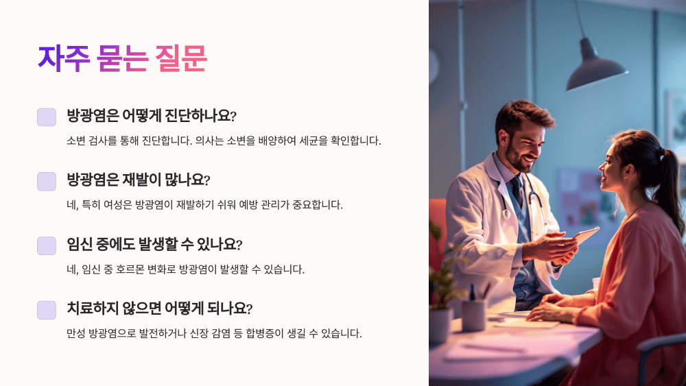 자주 묻는 질문