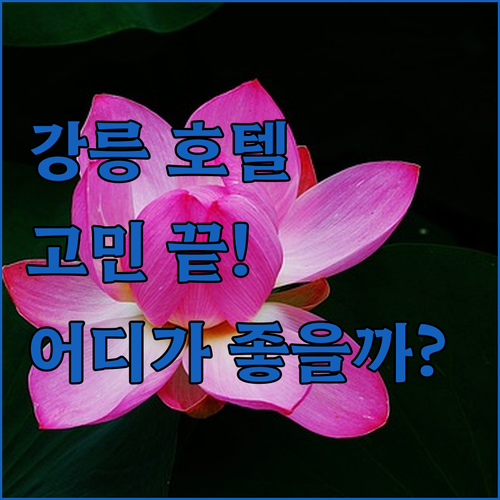 강릉 호텔 고민 끝! 강릉씨티호텔, 