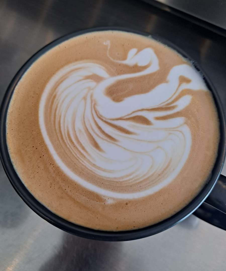 라떼아트 스완