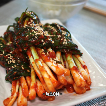 파김치 맛있게 담그는법