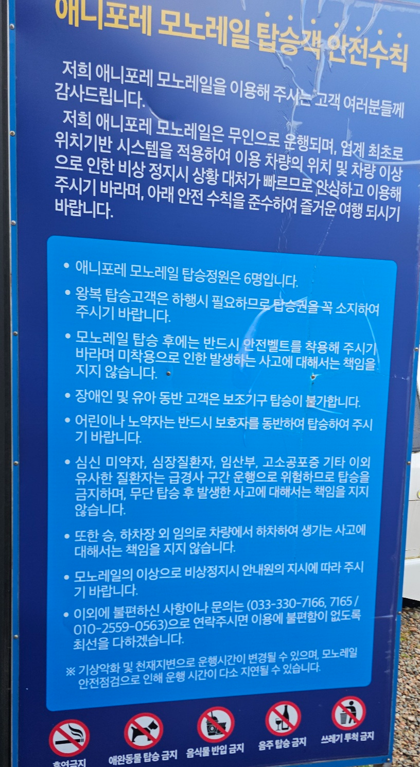 [24.11월] 아이와 평창 #1 - 모나 용평리조트 애니포레🏔️