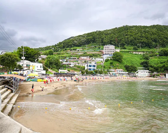 모사금해수욕장