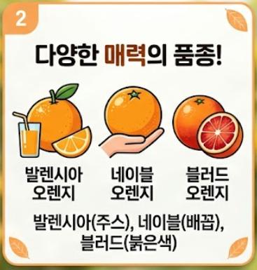 오렌지 효능