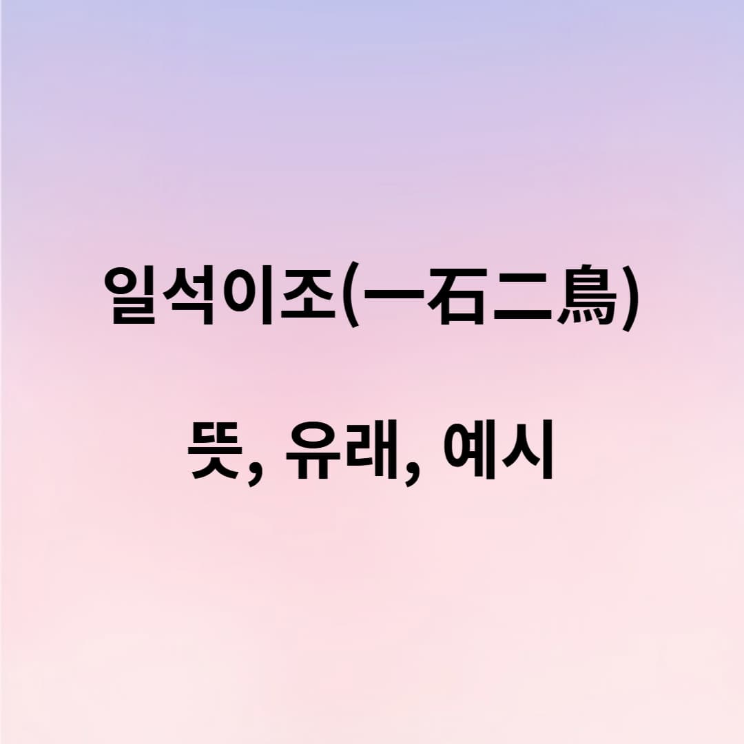 일석이조의 뜻과 유래, 일상 속 활용법