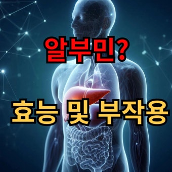 알부민의 효능