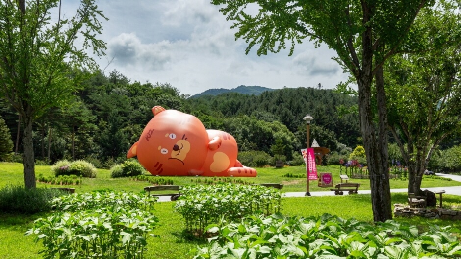 전국 가을축제 일정