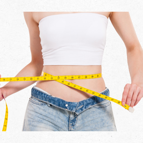 다이어트 보조제 가이드