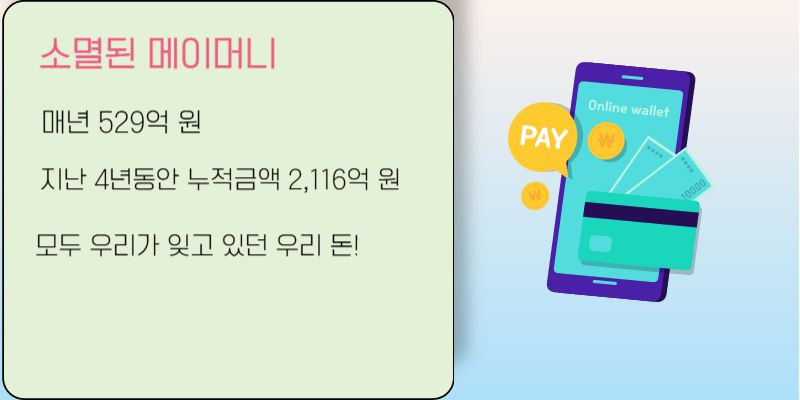 온라인지갑, 카드 이미지와 함께 메이머니 소멸 금액 통계(연 529억, 누적 2,116억 원)를 시각화한 카드