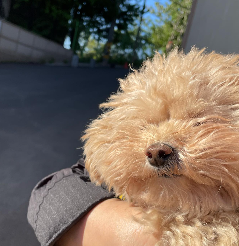 임수향 배우&#44; 미녀와 순정남 임수향&#44; 임수향 알아보기