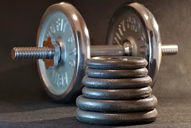 호르몬 주기와 운동 성과