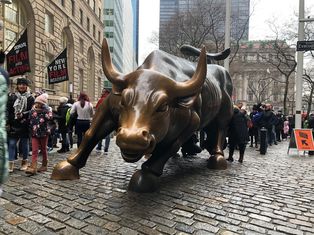 Volatility