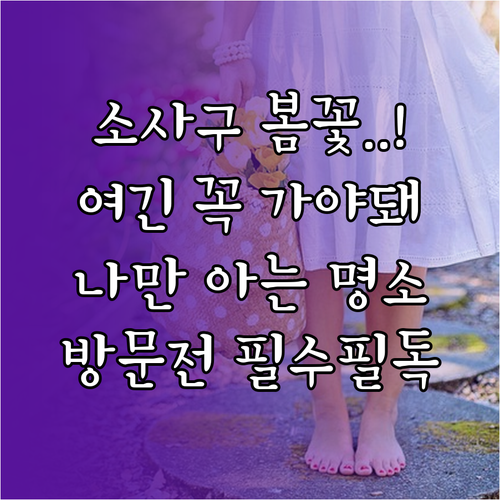 부천 소사구 봄 나들이 장소 추천 및..