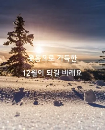 마음을 울리는 따뜻한 감성 인사말 모음 어떤 순간에 활용할까_7