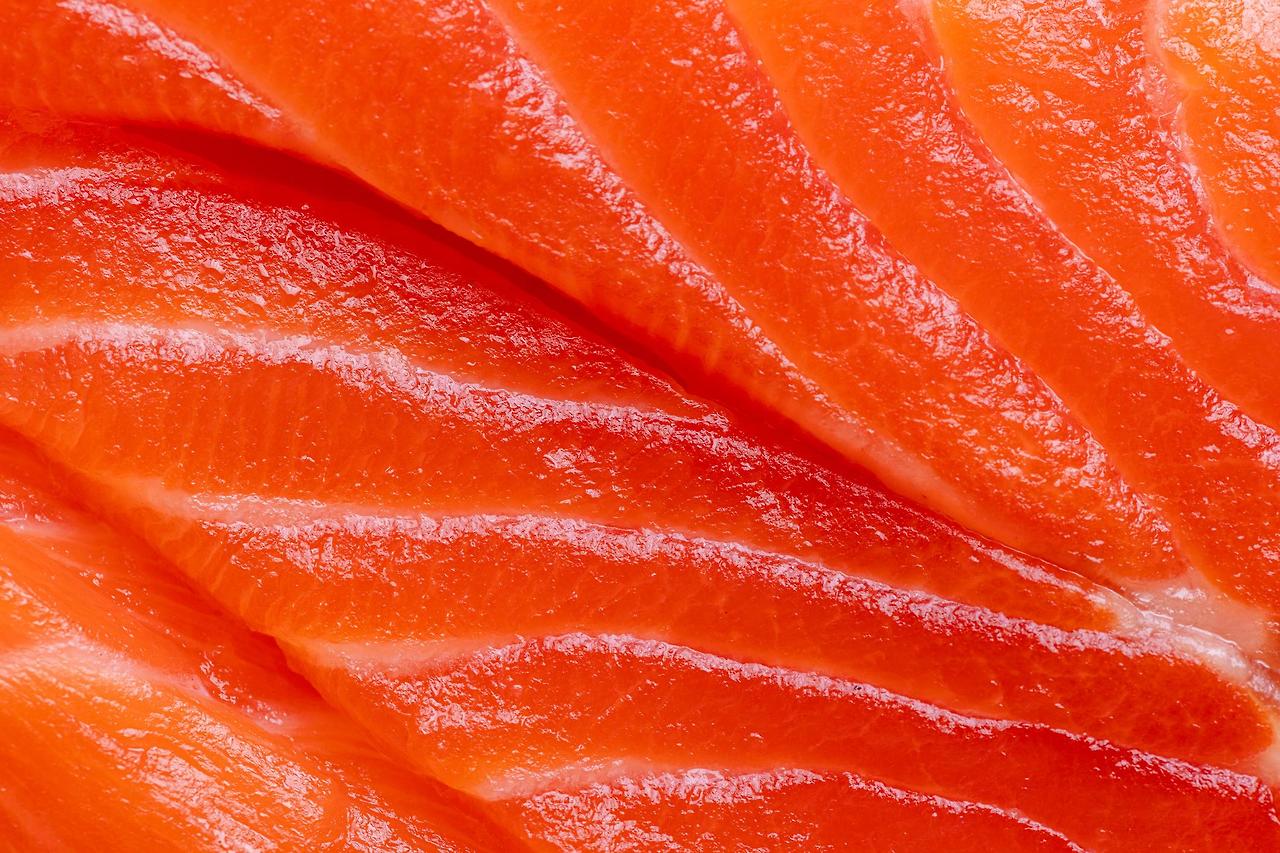 머리카락에 좋은 음식 연어