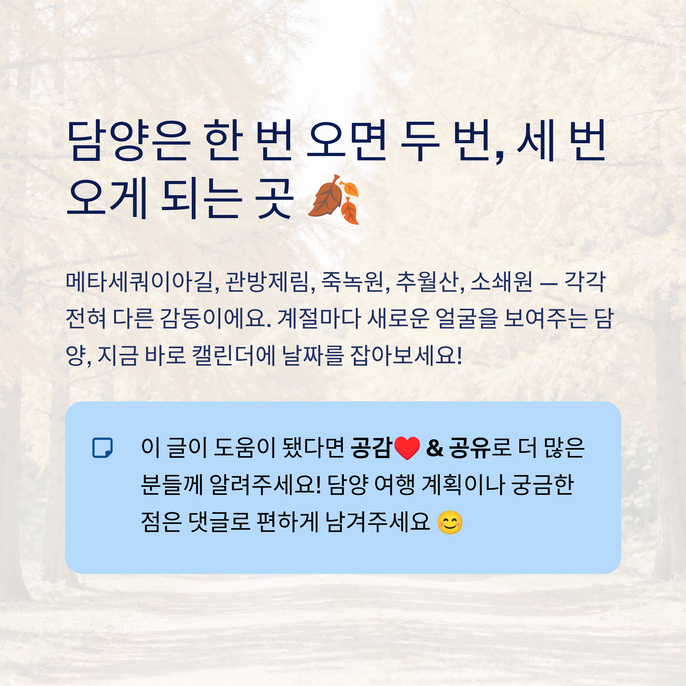 담양 메타세쿼이아길부터 추월산까지 &mdash; 걷기 명소 5선 완벽 가이드 2026