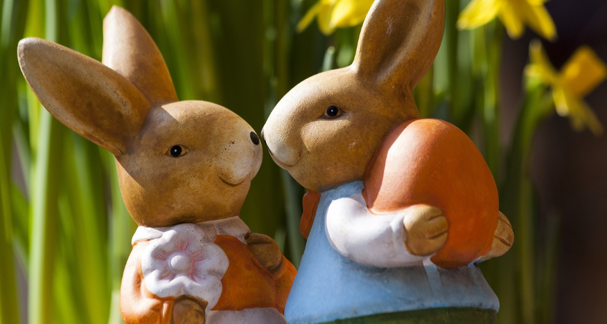 브런치카페 관련 사진