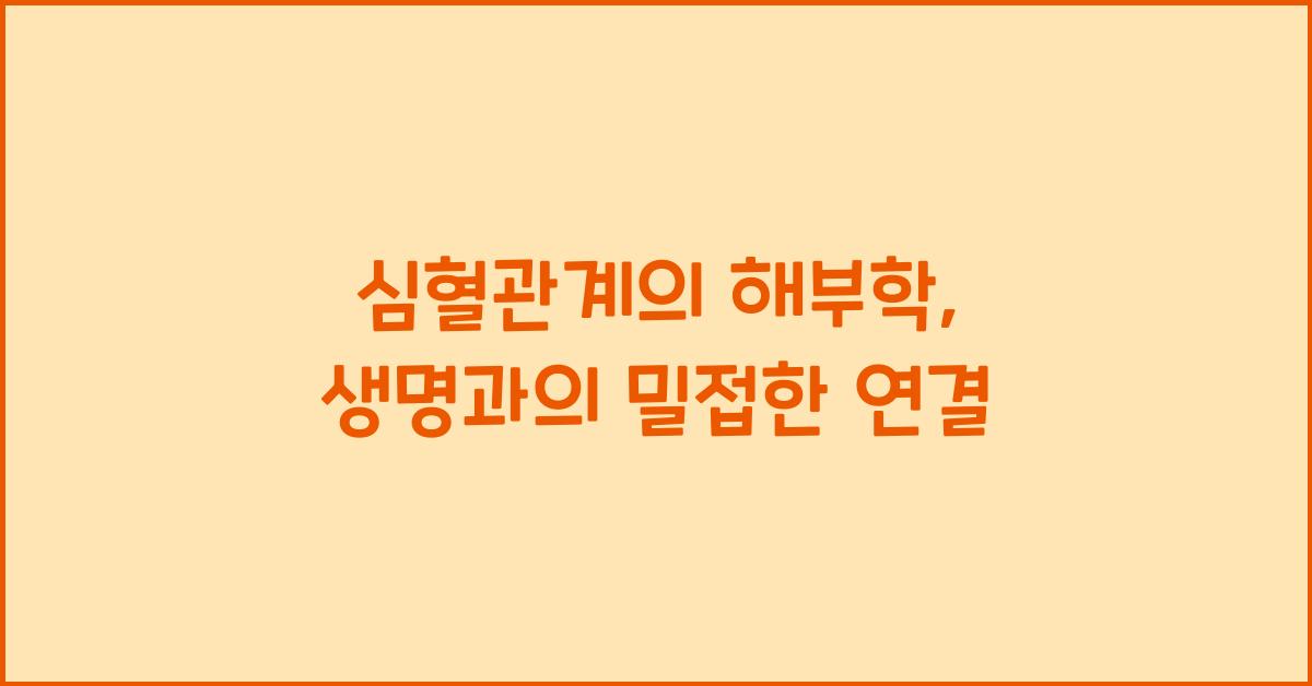 심혈관계의 해부학