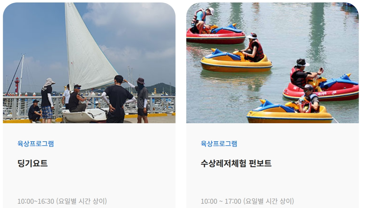 [5월 축제]1차 예약 시작! 2025 화성 뱃놀이 축제 체험 프로그램 서두르세요!