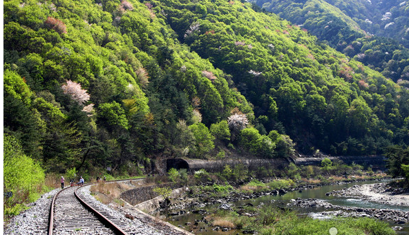 경북 가볼만한 곳, 문경 구랑리역 철로자전거 타기
