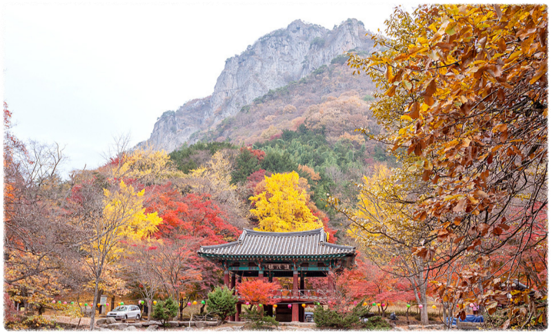 단풍명소
