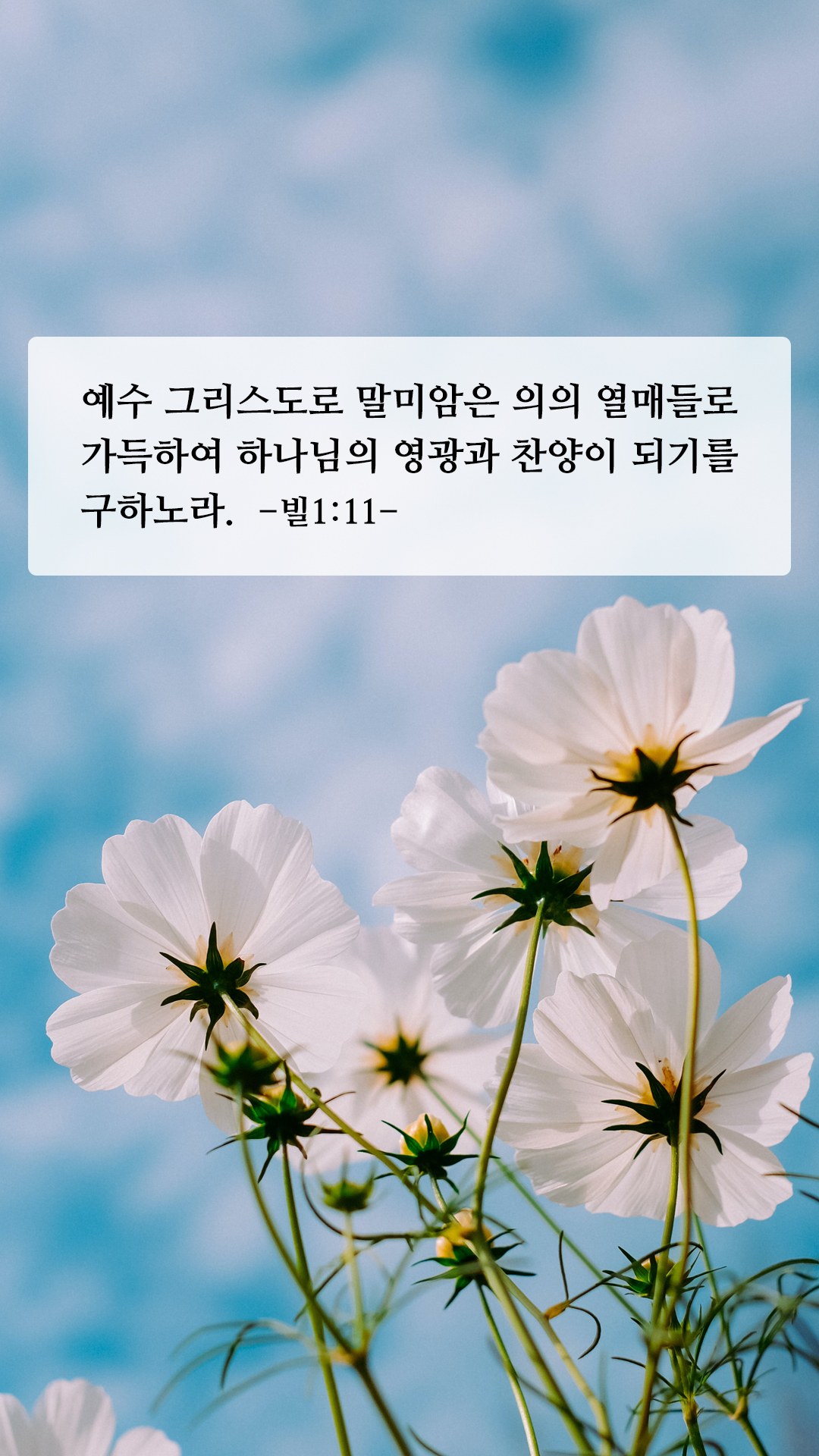 짧고 좋은 성경구절