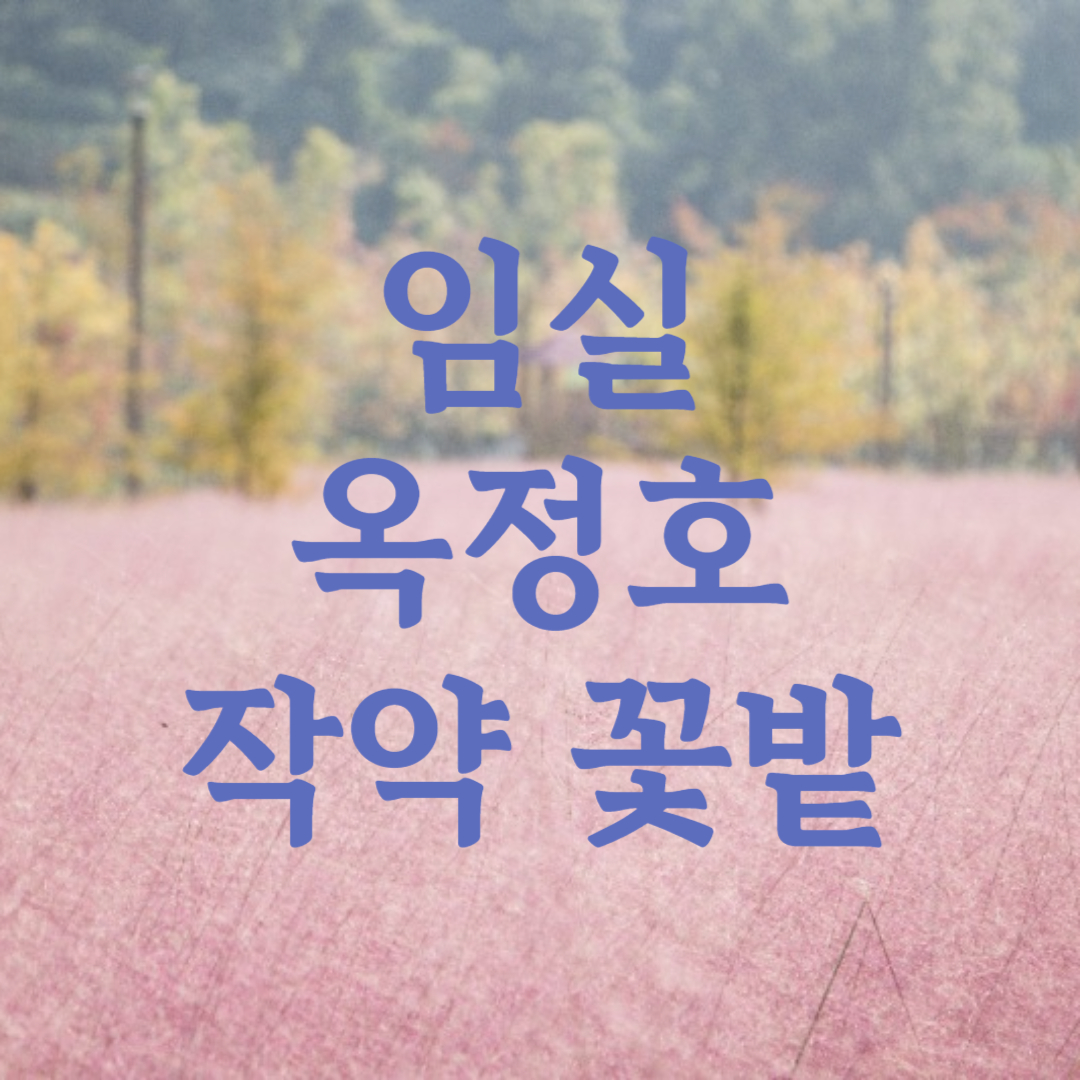 임실 옥정호 작약 꽃밭