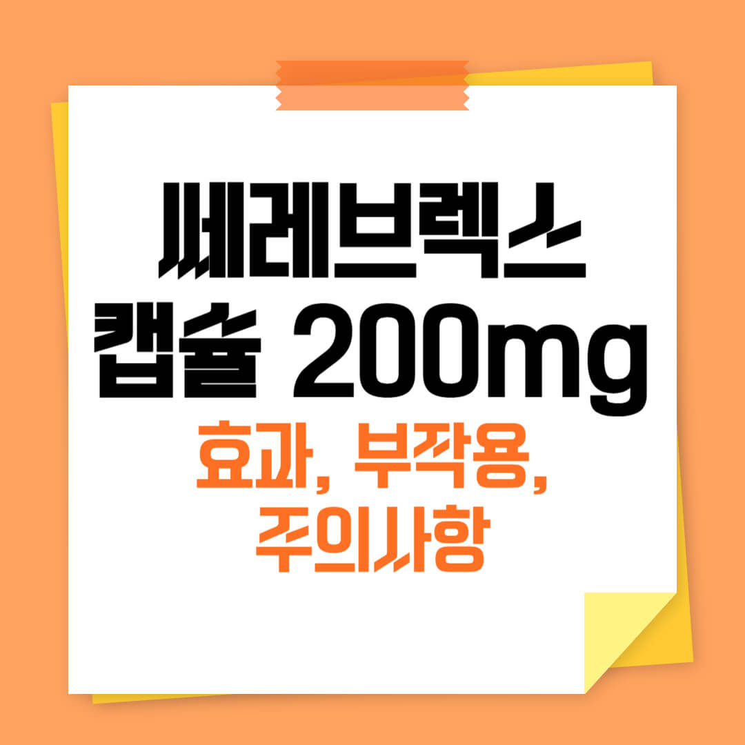 쎄레브렉스 캡슐 200mg