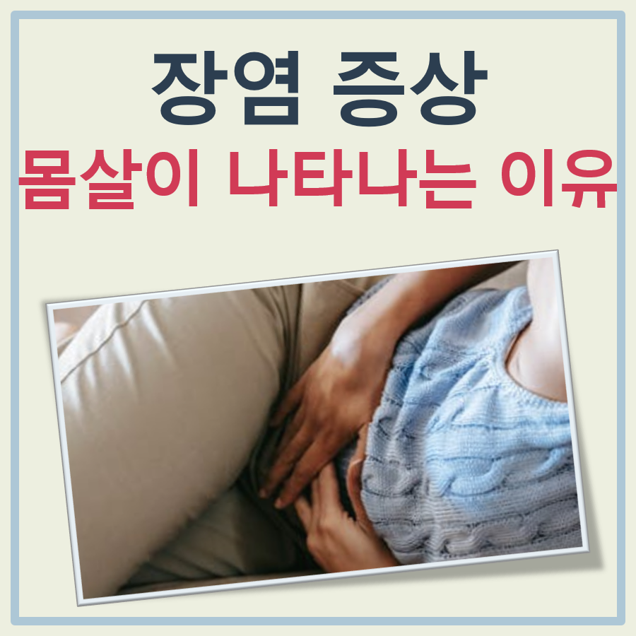 장염 증상 몸살 대표 이미지