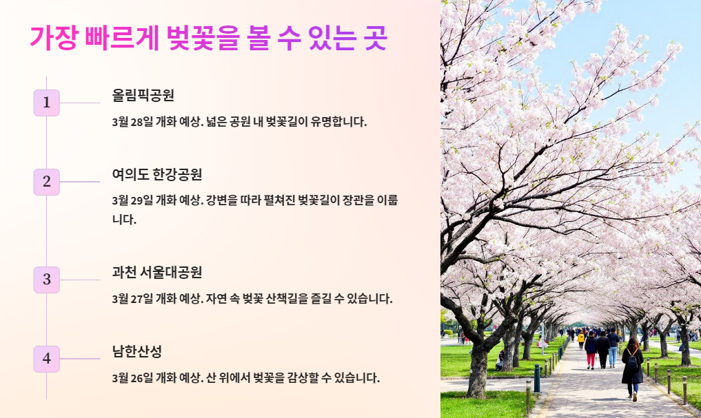 가장 빠르게 벚꽃을 볼 수 있는 곳