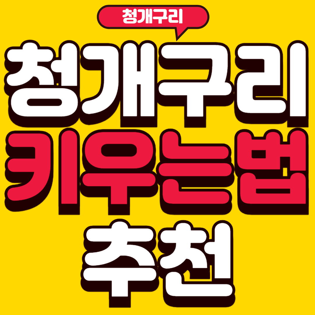 청개구리키우기