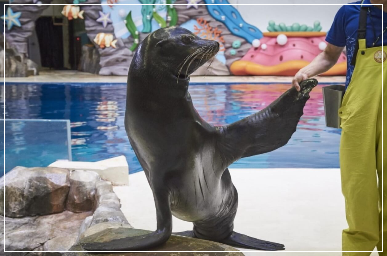 제주도 가볼만한곳 베스트10 아쿠아플라넷 제주