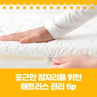 매트리스 관리 청소기 베이킹소다 회전주기 방수커버 팁_13