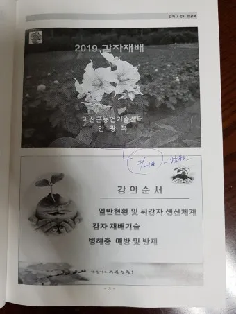 감자 재배 달력 파종 북주기 역병 관리 수확 및 저장_3