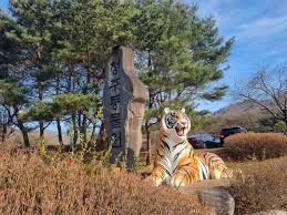 청주 가볼만한곳 베스트: 청주랜드&동물원