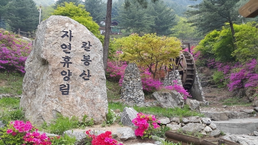 칼봉산자연휴양림