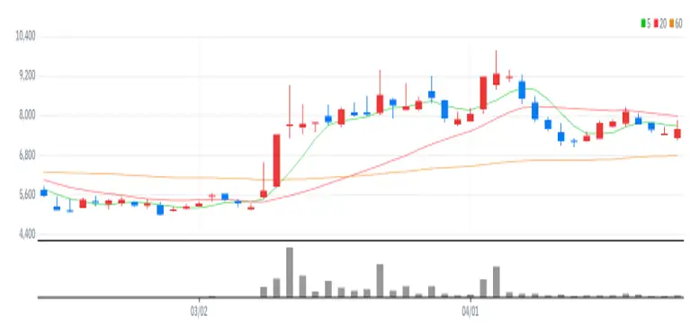 데이타솔루션 차트