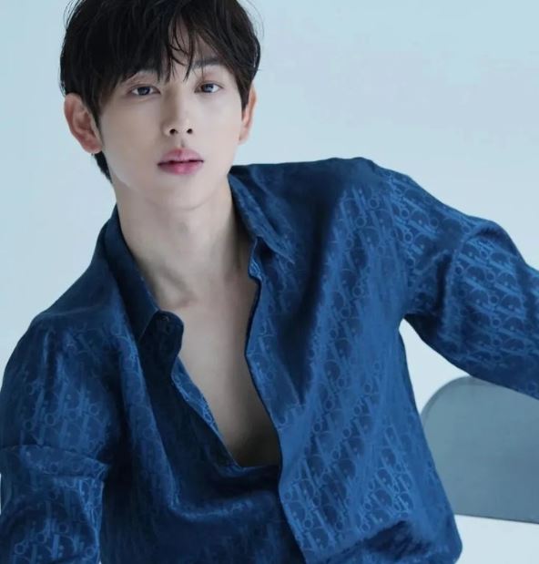 임시완