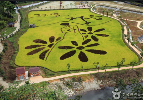 구절초지방정원