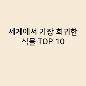 세계에서 가장 희귀한 식물 TOP 10