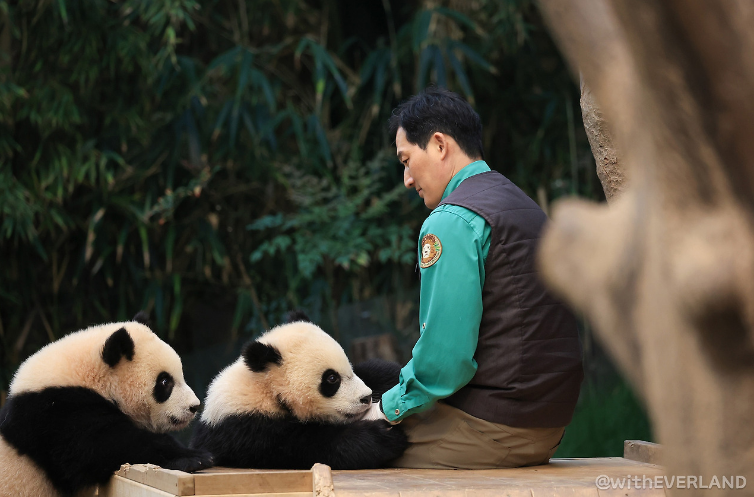 에버랜드 연간회원권