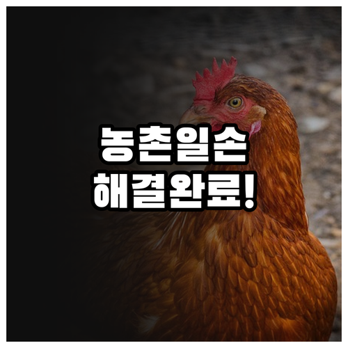 농가 일손 부족 해결하는 농촌일자리플..